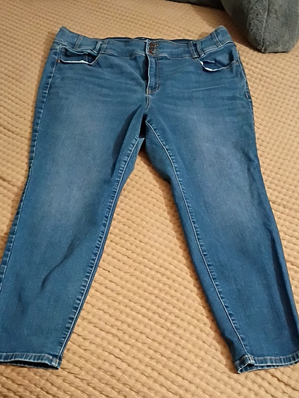 Lane Bryant Medium Blue Ankle-Length Stretch Jeans